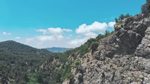 Landscape of Trees with Mountains