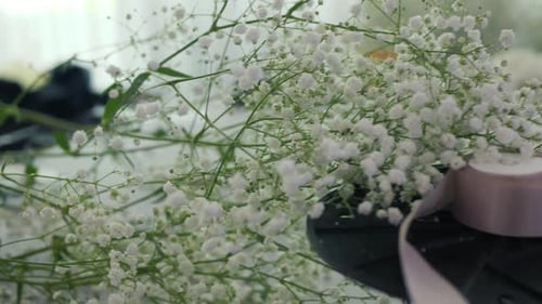 Baby's Breath Flowers and Ribbon Close-Up
