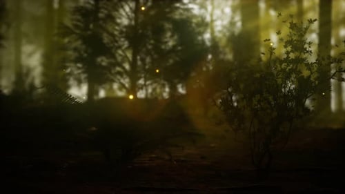 Firefly in Misty Forest with Fog