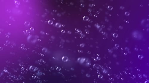 Pink Bubbles