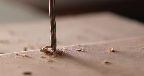 Drill bit making holes in wood