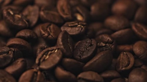 Dark Coffee Grains. Rotating . Coffee Beans. Close Up of Seeds of Coffee. Beautiful Seeds of Coffee.