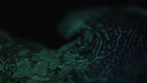Ferrofluid gemischt mit einem Glühstab, der mit einem Magneten bewegt wird.