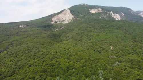 Mountains in the Greenery View From the Air