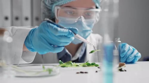 Close Up Of A Biologist's Hand In Protective Gloves Holding A Young Plant Over A Test Tube
