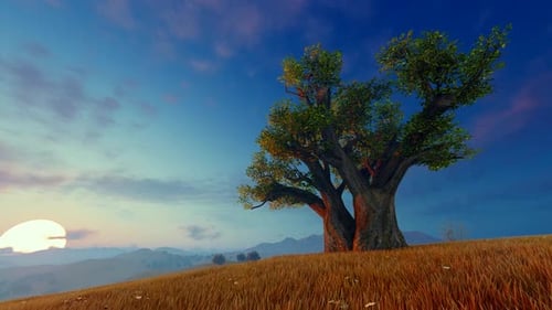 African Savanna Sunset with Baobab Tree Time-Lapse