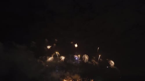 Brilliant Fireworks Exploding in the Night Sky