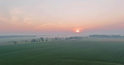Scenic Meadow with Fog Early Morning Sunrise
