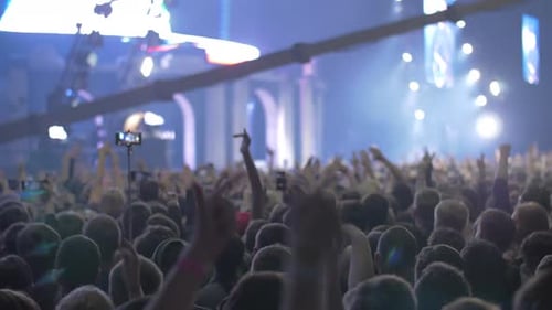 Enthusiastic Crowd Enjoying Concert at Night