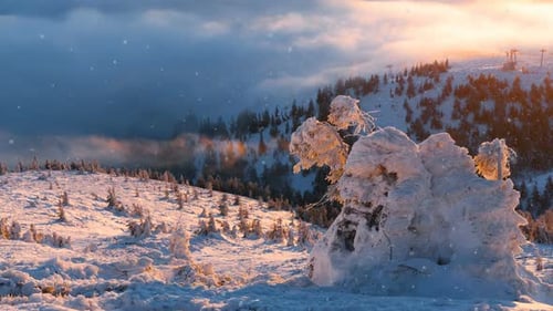Snowy Winter Landscape at Sunrise or Sunset