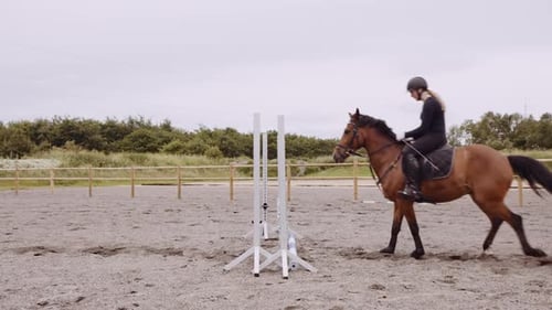 Woman Riding Horse And Jumping Over Fence In Paddock