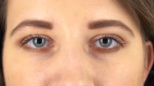 Female Eyes Close Up, Macro Portrait.