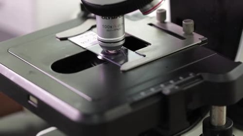 Close up of Lab Microscope and Gloved Hand