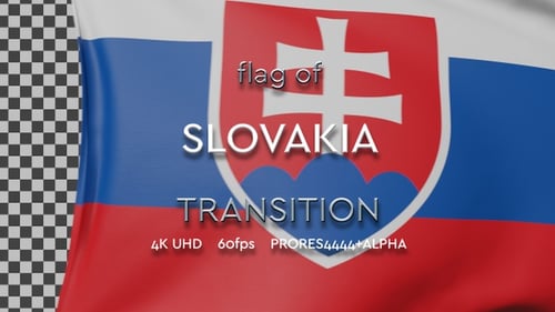 Realistic Country Flag Waving Animation