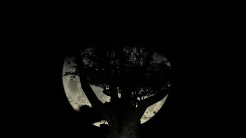 Animated Tree Silhouette with Full Moon and Starry Sky