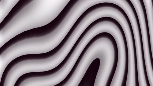 Seamless Loop of Abstract Flowing Black and White Lines