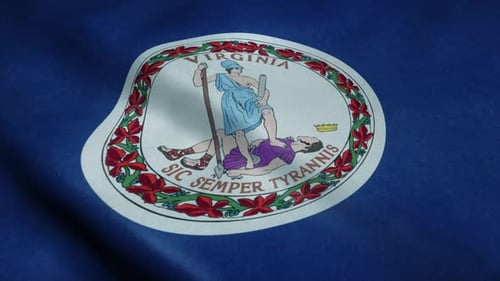 Realistic Waving Virginia State Flag Animation