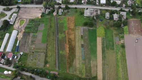 Birds-Eye Aerial of a Garden With a Green House and a Diverse Crops on a Summer Day