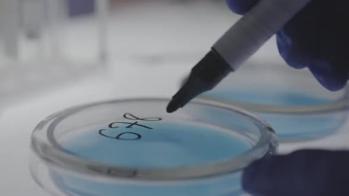 Scientifique abonnant des boîtes de Petri