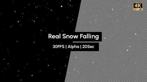 Realistic Falling Snow Overlay with Alpha Channel
