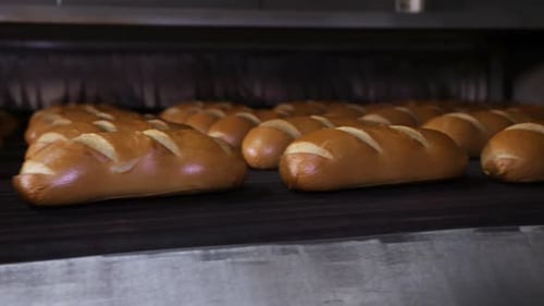 Automatisierte Ausgabe von fertigem Brot aus dem Ofen