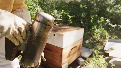Caucasian male beekeeper in protective clothing using smoker to calm bees in a beehive