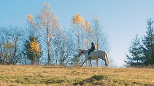 A man riding a horse in autumn field