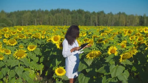 Agronom führt Qualitätskontrolle im kultivierten Bereich durch
