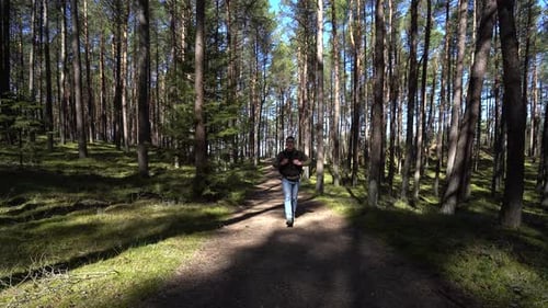 Hiker Walking In The Forest
