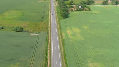 Aerial view white truck in beautiful. two car driving on an asphalt road with a beautiful landscape.