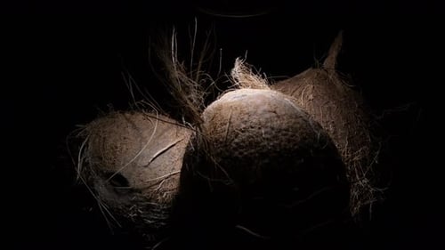 Coconuts in Black Background
