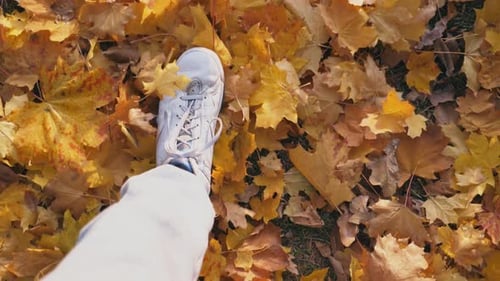 Point of View to Male Foot Stepping on Color Fallen Leaves