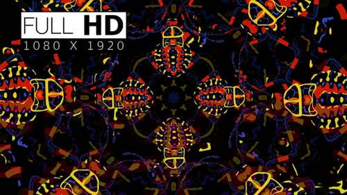 Abstract Geometric Insect Pattern Kaleidoscope Loop