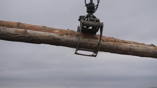 Entladen von Holz mit einem Frontlader. Holz bauen.