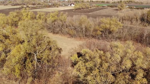 Beau paysage rural d'automne vu d'un Drone en Russie