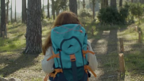 Redhaired Woman Hiking in Forest on Sunny Day