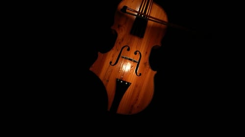 Violín fondo negro