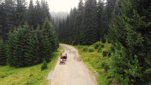 Men Riding on Horse Cart on Rural Road Through Forest