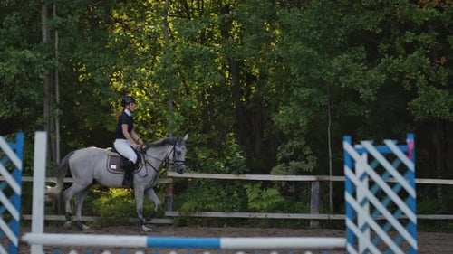 Closeup of a Woman in Riding Gear Sitting in a Saddle on a Chestnut Horse Horse While Out for Ride