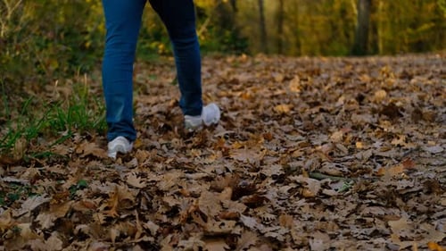 Herbst Herbst