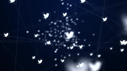 Twitter Icon Verbindungsnetzwerk
