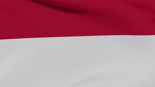 Realistic Red and White Flag Waving Seamless Loop Animation
