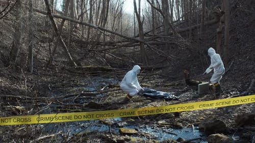 Forensic specialists working in the forest. Crime scene and police concept.