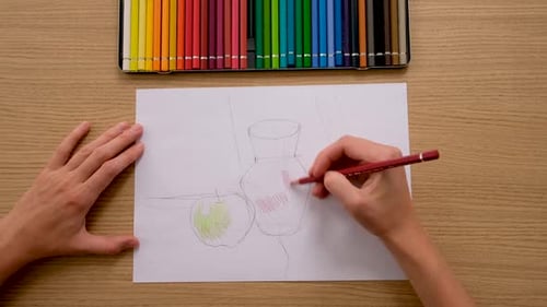 Hands Drawing Still Life with Colored Pencils Overhead
