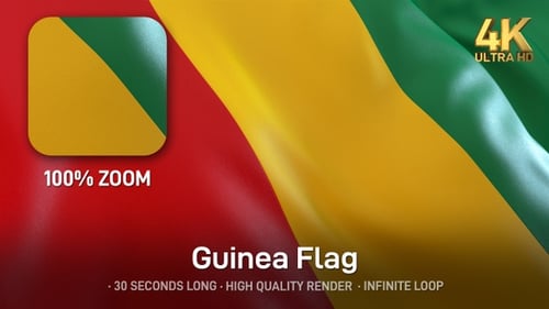 Seamless Loop Animation of Guinea National Flag