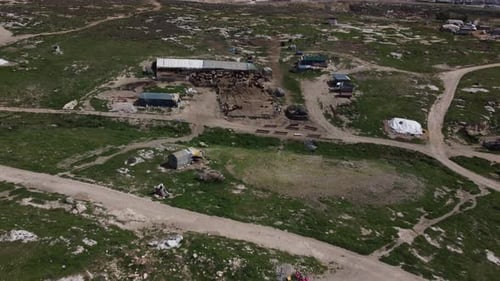 Sheep Herd Resting in Pen
