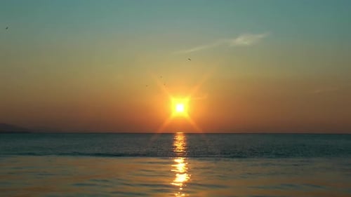 Mágica puesta de sol en aves marinas voladoras en el cielo