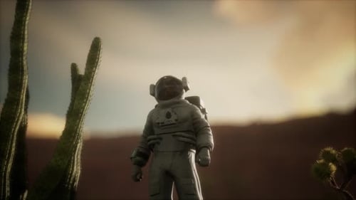 Astronauth in the High Desert of Nevada