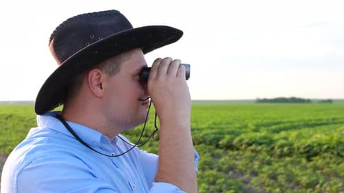 Joyful Agronomist Looks at the Soybean Field with Binoculars