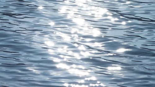 Sunlight Sparkles on Gently Rippling Blue Water